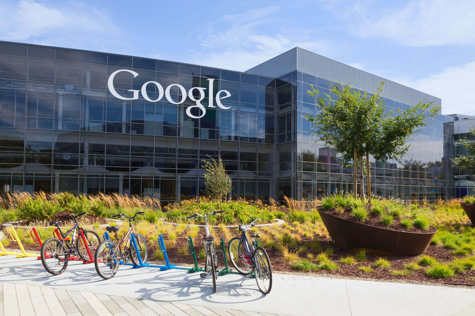 В декабре Google начнет удалять неактивные аккаунты пользователей