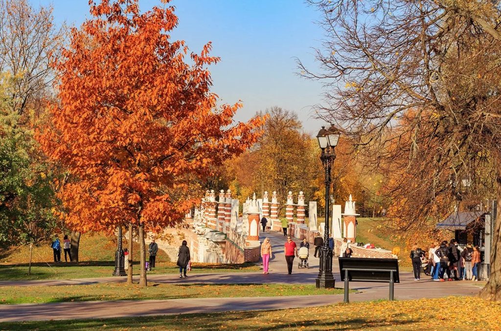 Что изменится в России с 1 октября