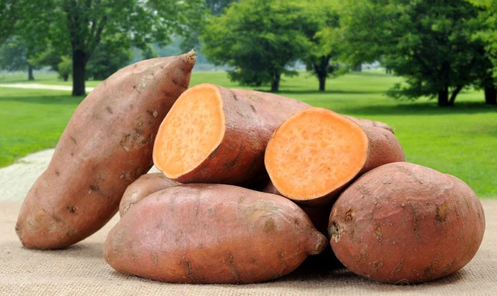 Специалисты научились создавать муку без глютена из батата